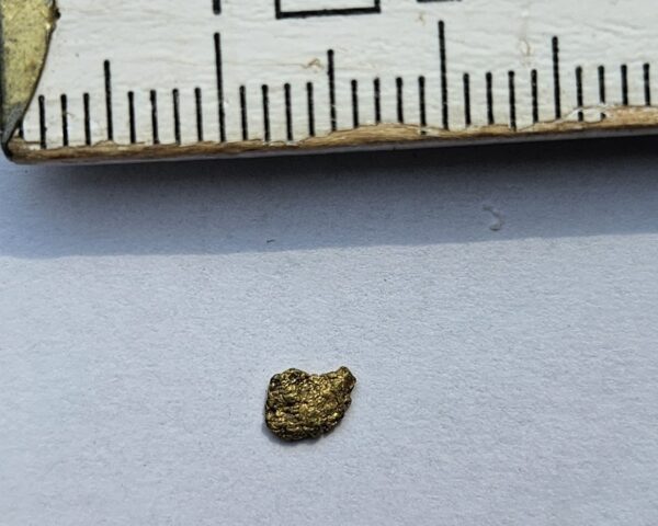 Schweizer Goldnugget 0.09 Gramm Val Sumvitg