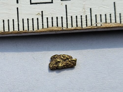Schweizer-Goldnugget-0.2-Sumvitg_1 Schweizer Goldnugget 0.2 Gramm Val Sumvitg bei Disentis.