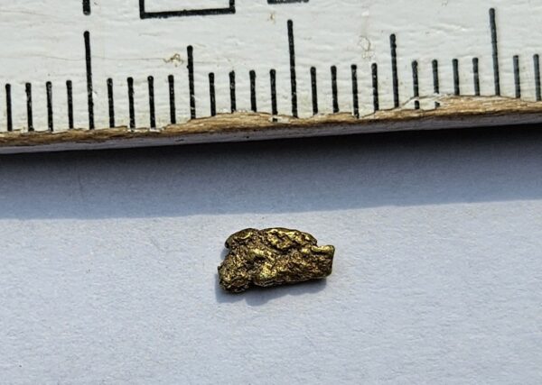 Schweizer Goldnugget 0.2 Gramm Val Sumvitg bei Disentis.