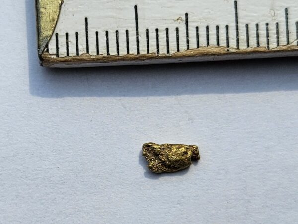 Schweizer Goldnugget 0.2 Gramm Val Sumvitg bei Disentis.