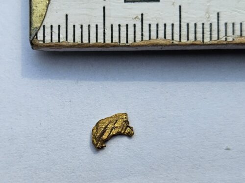 Schweizer-Goldnugget-0.2-Vorderrhein_1 Schweizer Goldnugget Kristallin 0.2 Gramm Region Vorderrhein
