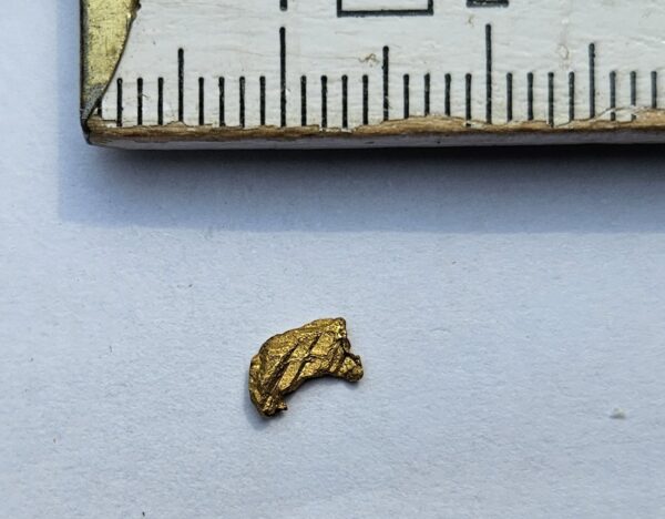 Schweizer Goldnugget Kristallin 0.2 Gramm Region Vorderrhein