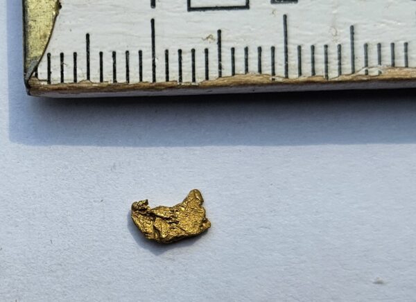 Schweizer Goldnugget Kristallin 0.2 Gramm Region Vorderrhein