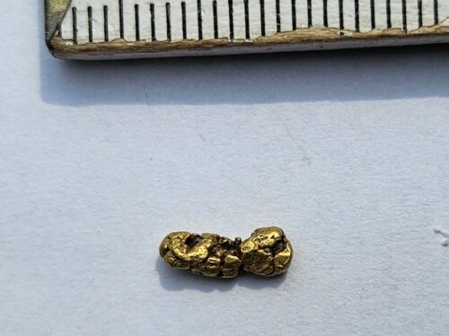 Schweizer-Goldnugget-0.46-Sumvitg_1 Sehr schönes Schweizer Goldnugget mit Kristallstruktur 0.46 Gramm Val Sumvitg bei Disentis