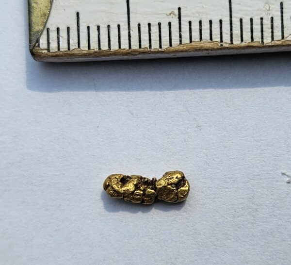 Sehr schönes Schweizer Goldnugget mit Kristallstruktur 0.46 Gramm Val Sumvitg bei Disentis