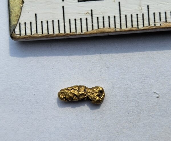 Sehr schönes Schweizer Goldnugget mit Kristallstruktur 0.46 Gramm Val Sumvitg bei Disentis
