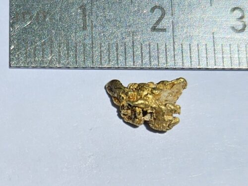 Schweizer-Goldnugget-0.75-Sumvitg_1 Sehr schönes Schweizer Goldnugget 0.75 Gramm Val Sumvitg bei Disentis
