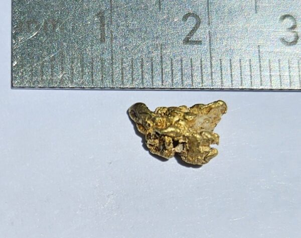 Sehr schönes Schweizer Goldnugget 0.75 Gramm Val Sumvitg bei Disentis