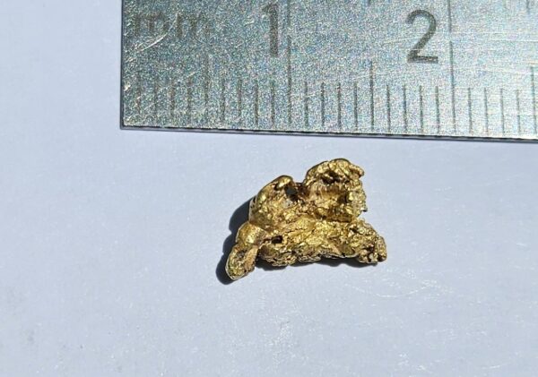 Sehr schönes Schweizer Goldnugget 0.75 Gramm Val Sumvitg bei Disentis