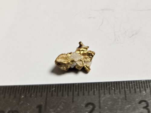 Schweizer-Goldnugget-0.8-Vorderrhein_1 Sehr schönes Schweizer Goldnugget Kristallin mit Quarz 0.8 Gramm Region Vorderhein Sehr selten!
