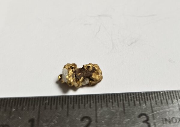 Sehr schönes Schweizer Goldnugget Kristallin mit Quarz 0.8 Gramm Region Vorderhein Sehr selten!