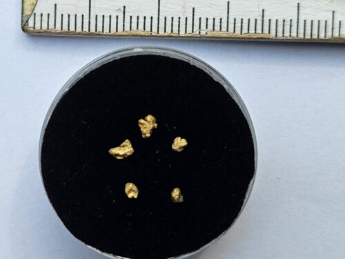 Schweizer-Goldnuggets-0.16-Disentis Kleine Schweizer Goldnuggets 0.16 Gramm Region Disentis (Beispielbild)