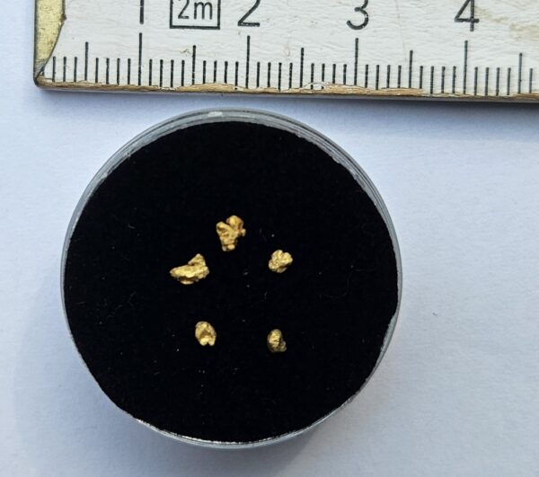 Kleine Schweizer Goldnuggets 0.16 Gramm Region Disentis (Beispielbild)