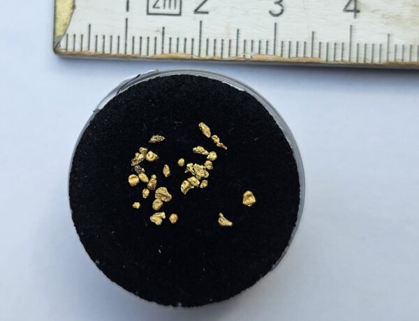 Kleine Schweizer Goldnuggets/Körnchen 0.2 Gramm Region Disentis (Beispielbild)