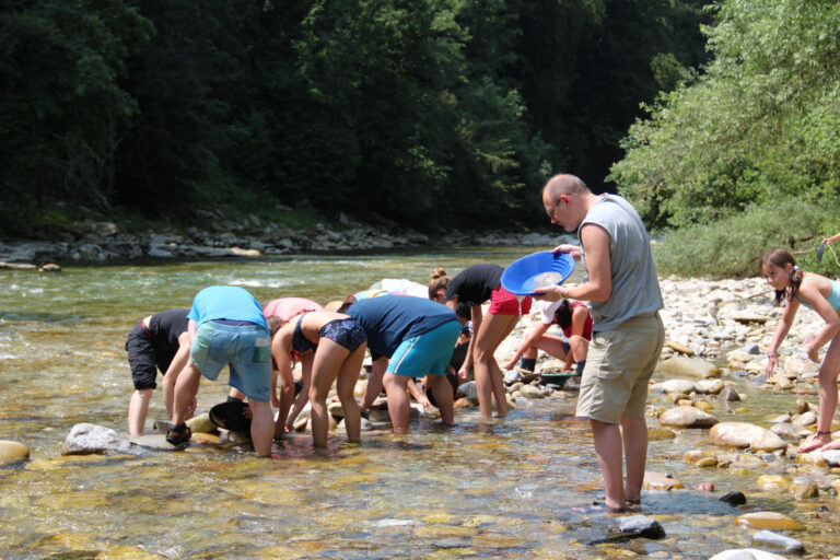 swissgolder_kurse_2
